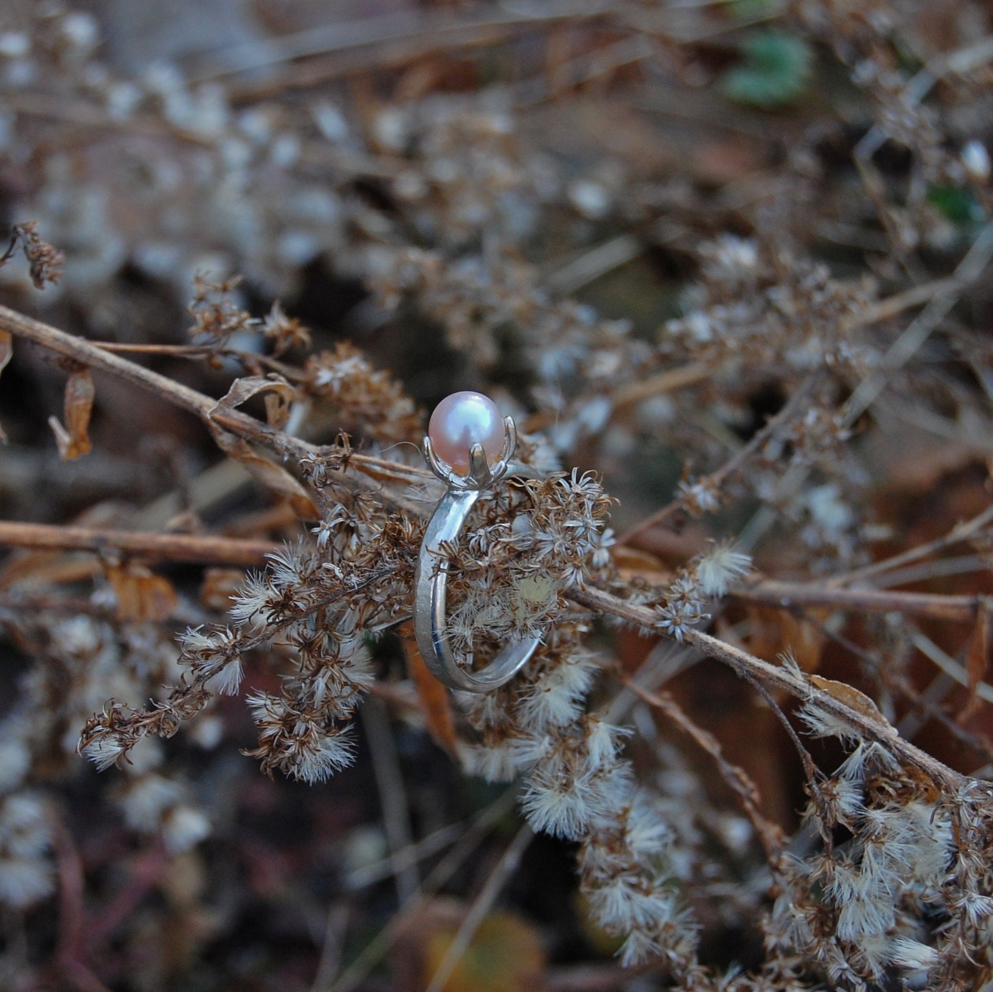 Doris - Pearl Solitaire Ring; Freshwater Pearl; Argentium® Sterling Silver; Engagement Ring