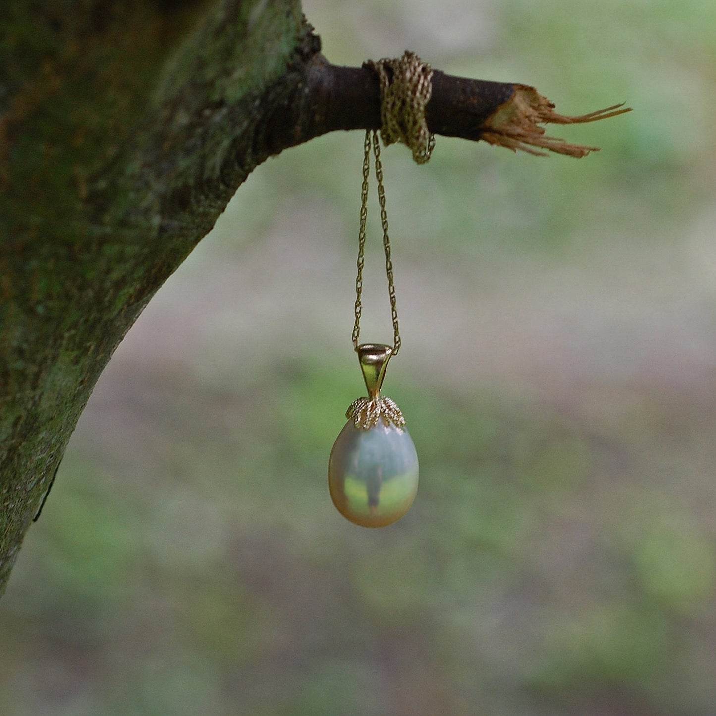 Zyta - Freshwater Pearl Pendant Set in 14kt Gold, FREE SHIPPING US