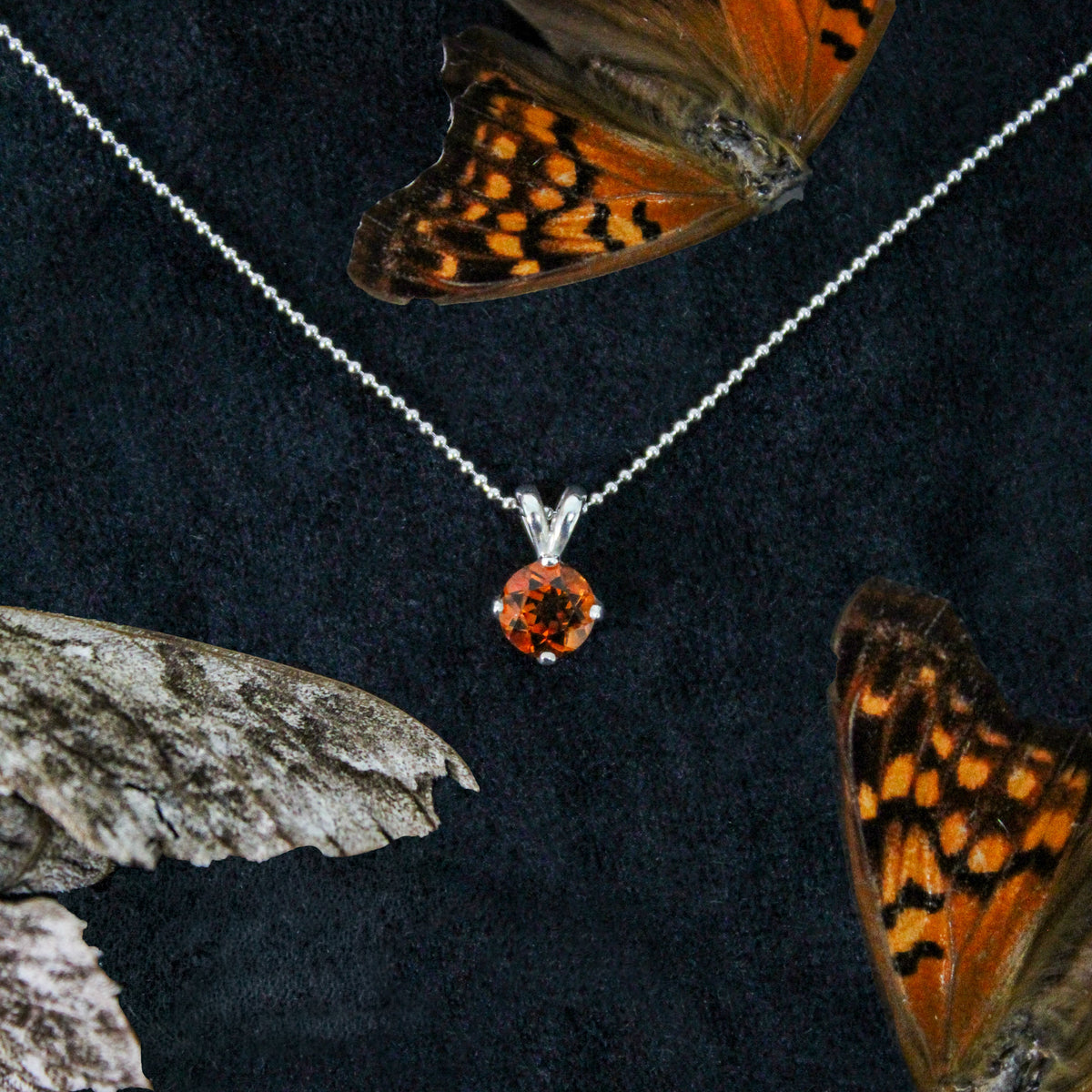 Fall Collection