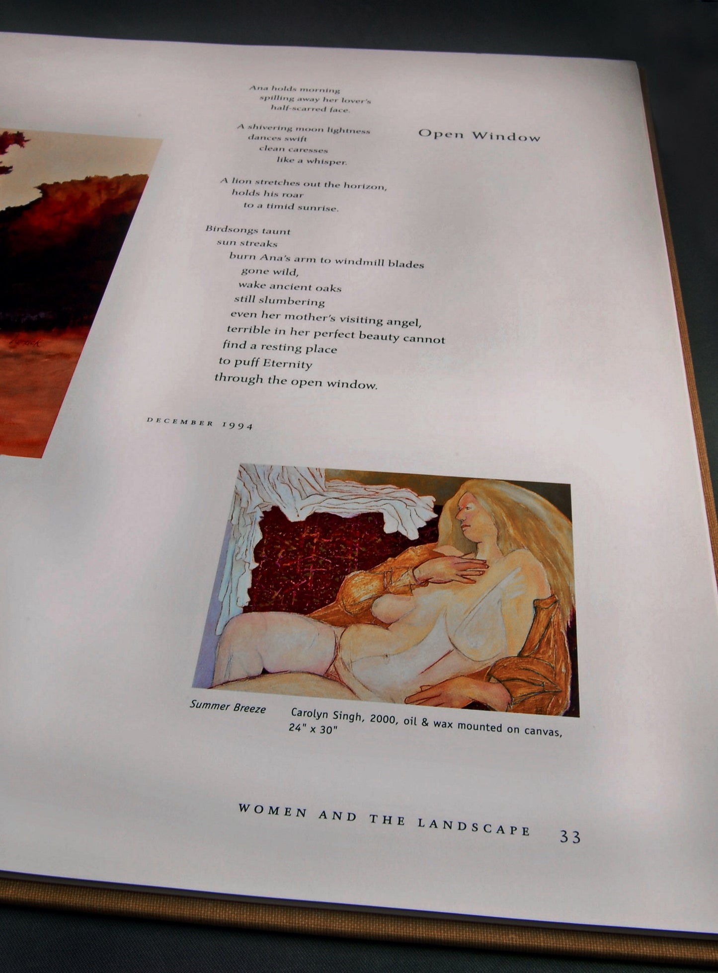 Desert Echo Women Illuminate the Sacred - Illustrated Book, poetry book, FREE SHIPPING US