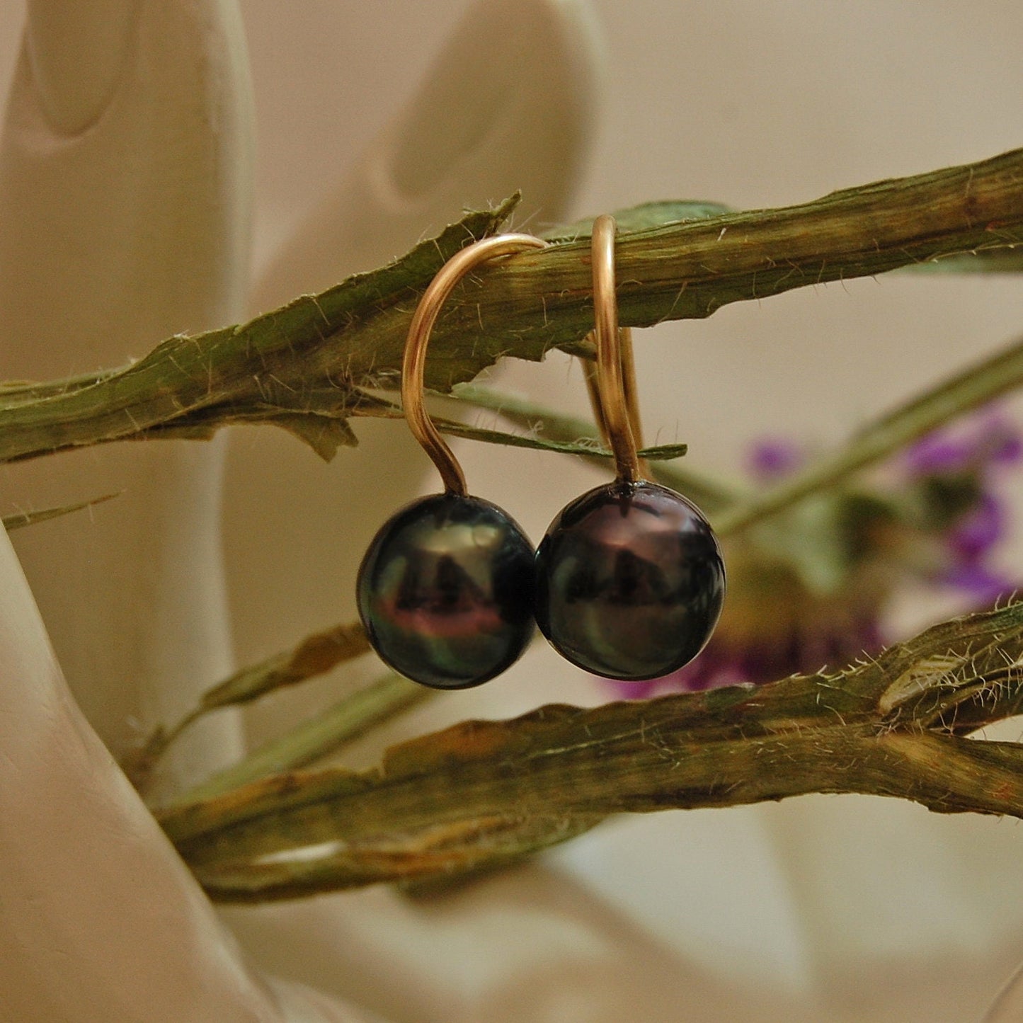 Gemma - Black Tahitian Pearl Earrings 14k Gold FREE SHIP US