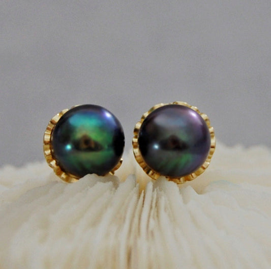 Victoria - Black Peacock Pearl Stud Earrings Set in Solid 14k Gold, FREE SHIPPING US