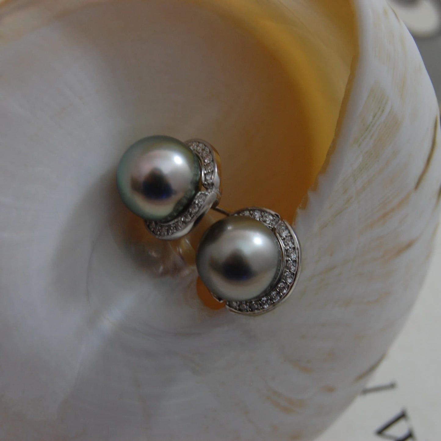 Cinder - Pearl Halo Style Earrings Featuring Tahitian pearls, CZs and Rhodium Plated Sterling Silver, FREE SHIP US