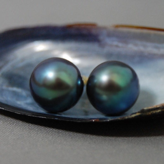 Pema - Peacock Pearl Stud Earrings Set in 14k Yellow Gold