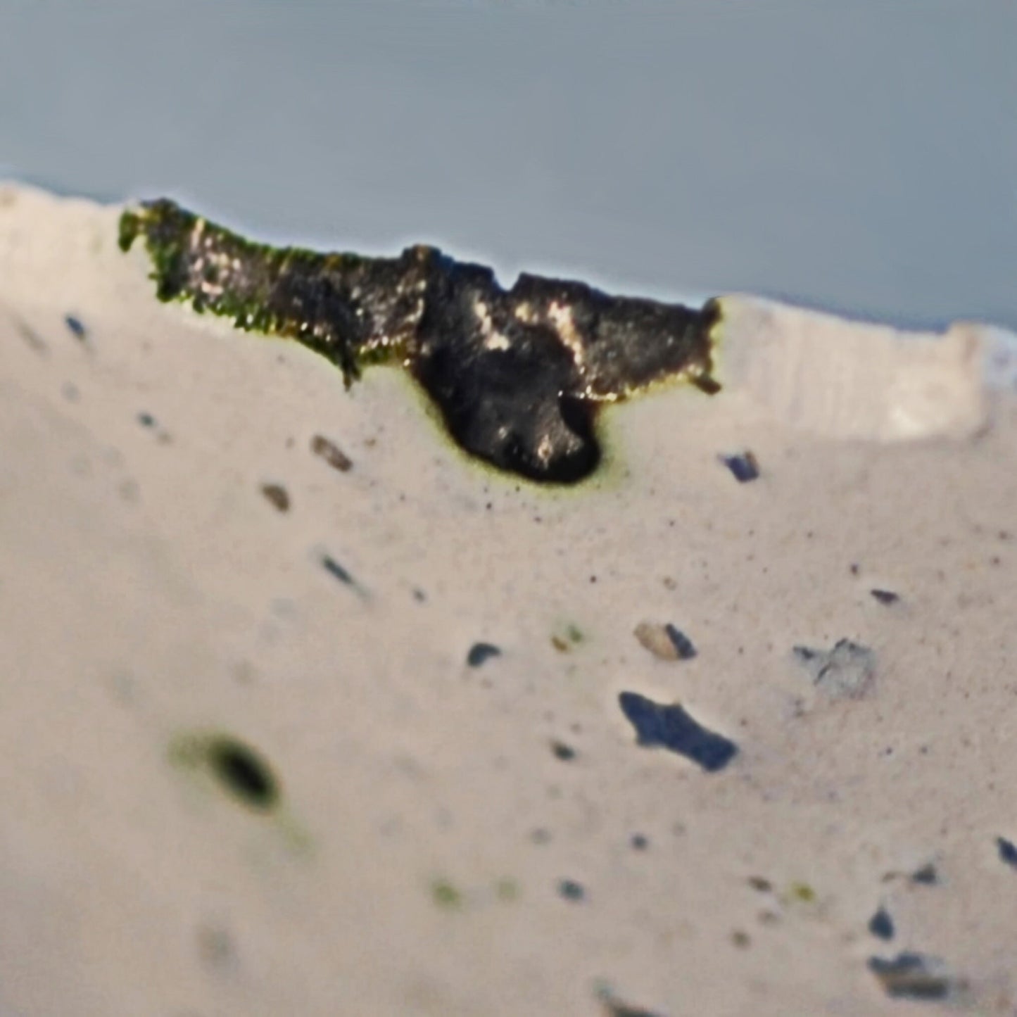 Ingrid - Unique Handmade Bowl, FREE SHIP US