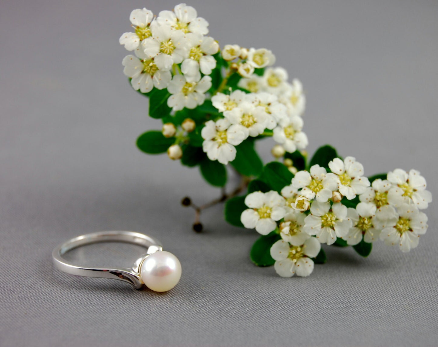 Devika CW - Akoya Pearl Engagement Ring, Promise or Wedding Ring in a Solid Continuum Silver, FREE SHIP