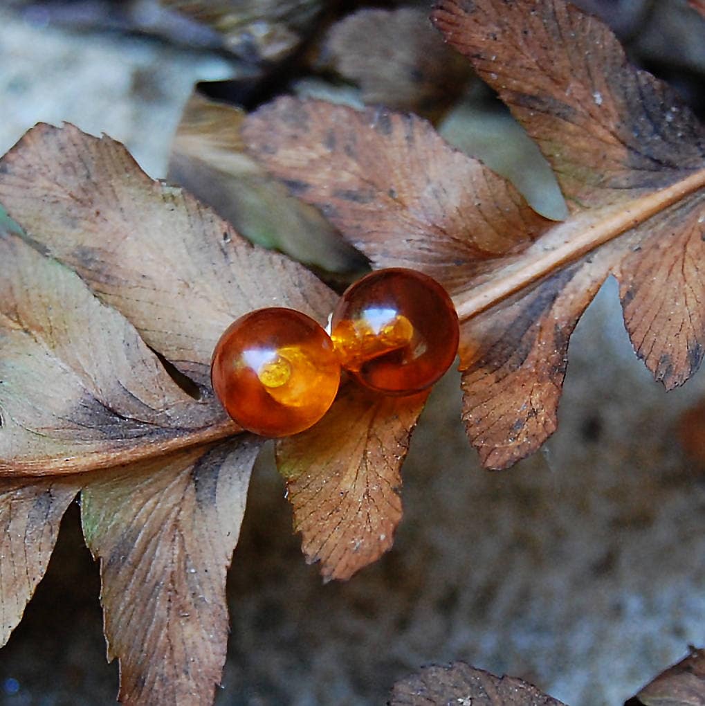 Ambre - Amber Gemstone Stud Earrings, May Birthstone Alternate, FREE SHIPPING US