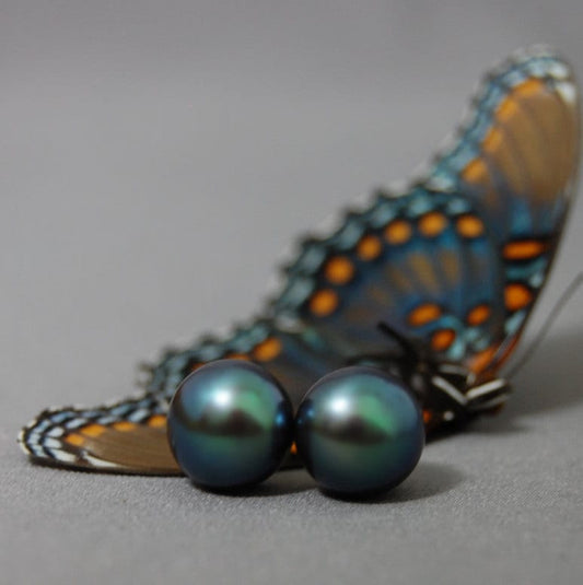 Pema - Peacock Pearl Stud Earrings Set in 14k Yellow Gold