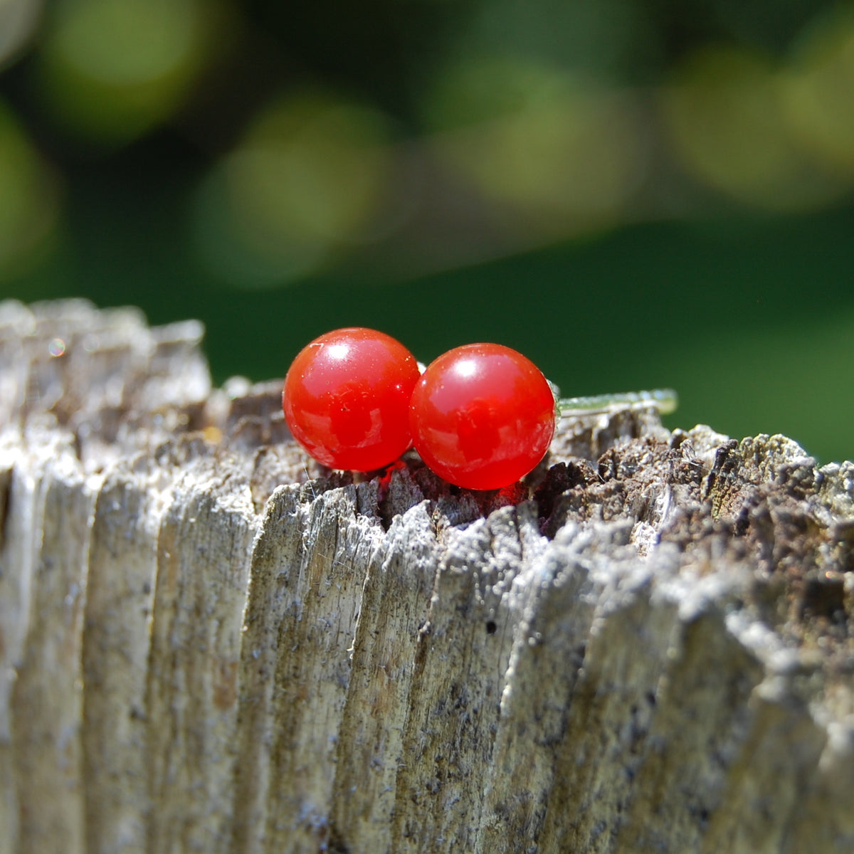 Herra - Carnelian Stud Earrings Solid Sterling Silver