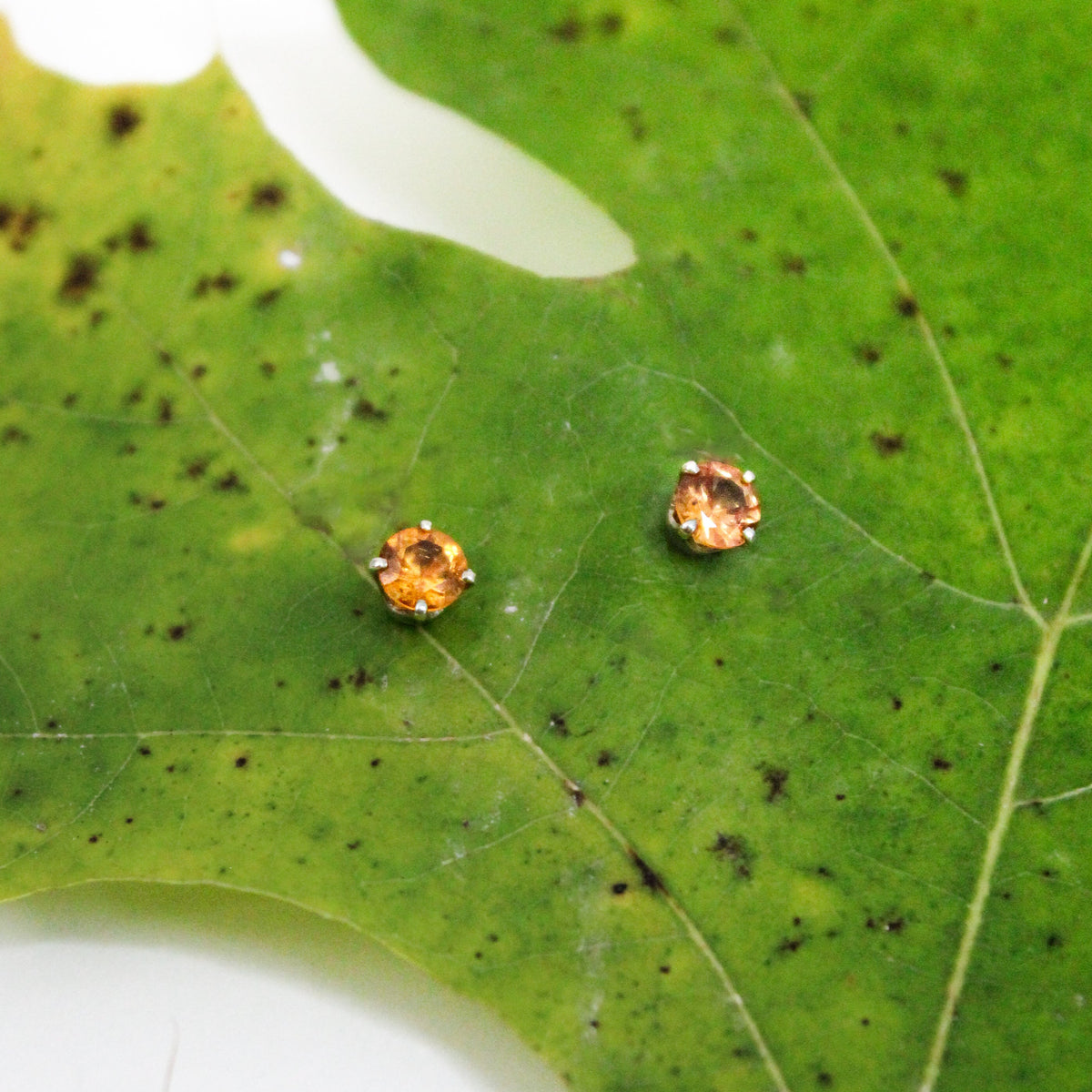 Marni - Citrine Mini Stud Earrings, 14k Yellow Gold