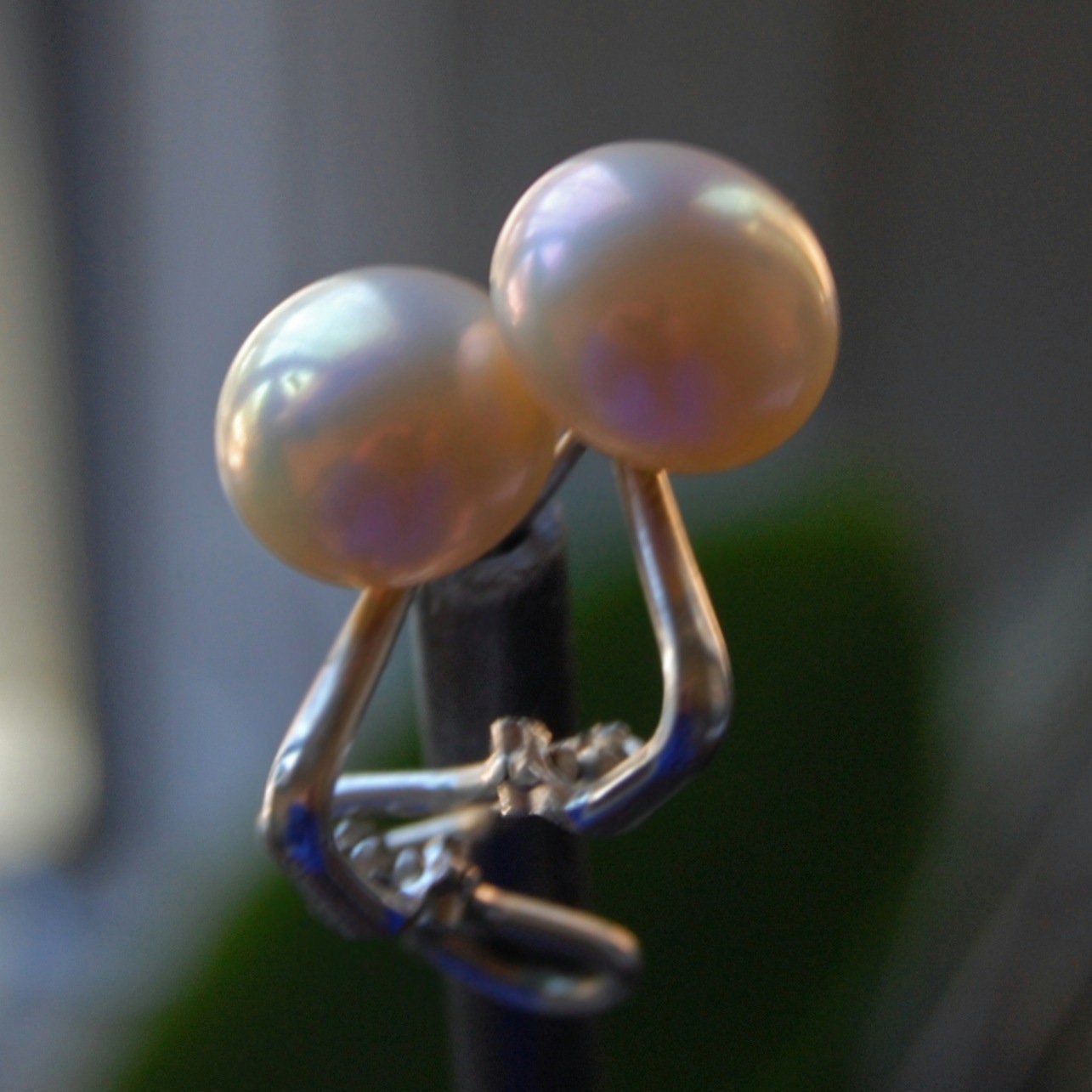 Rebecca - Striking Natural Freshwater Pearl Stud Earrings Set in Solid Sterling Silver Omega Mountings, FREE SHIPPING US