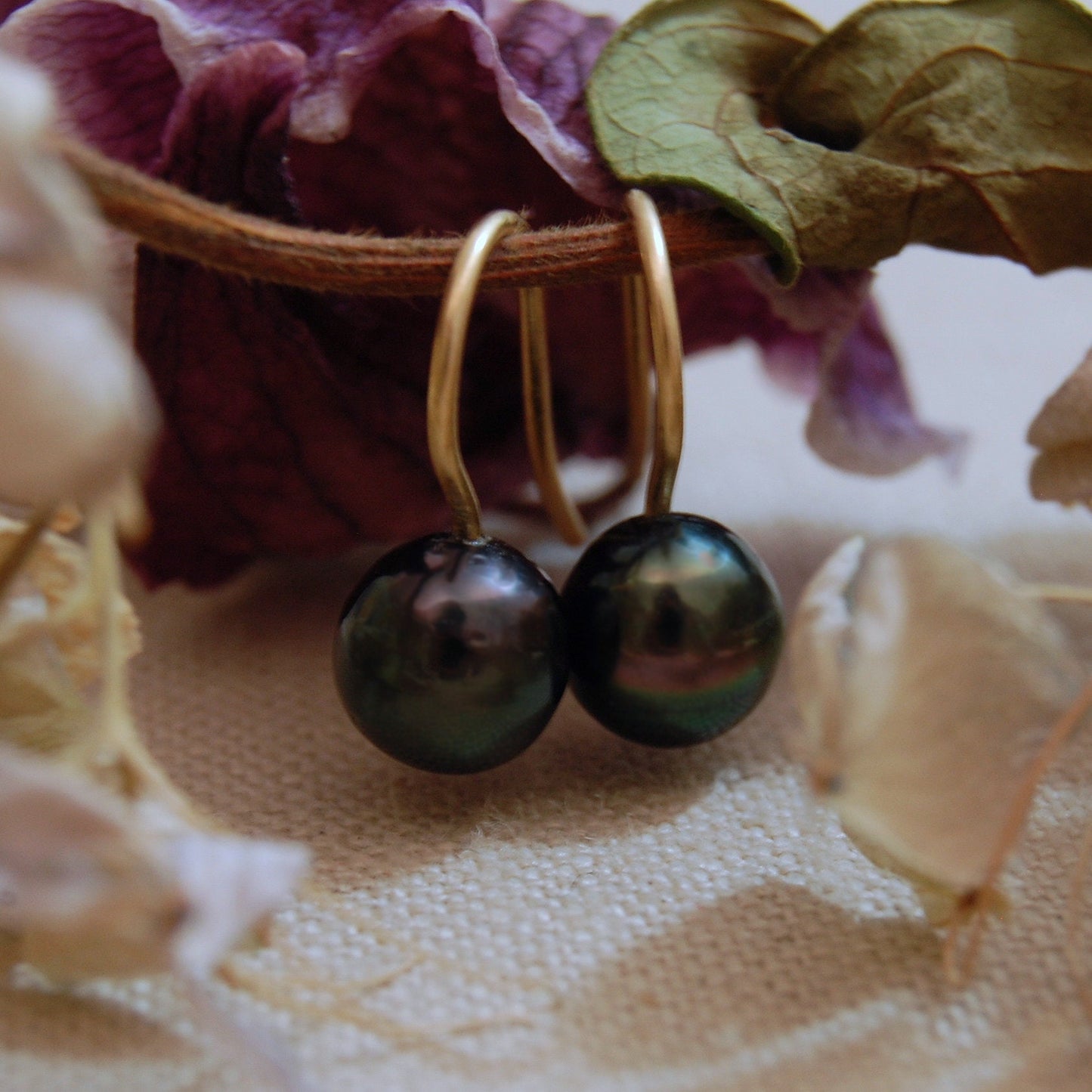 Gemma - Black Tahitian Pearl Earrings 14k Gold FREE SHIP US