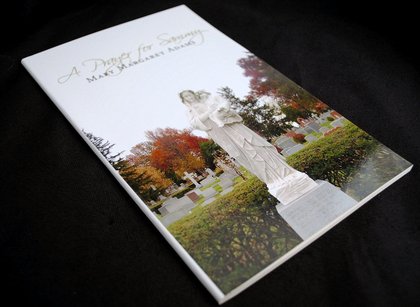 A Prayer for Sammy - Miscarriage grief support book on the loss of a baby from a mother's perspective. FREE SHIPPING US.