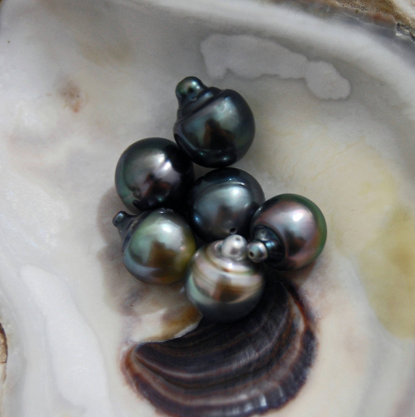 D306 - Loose Tahitian Peacock Pearls