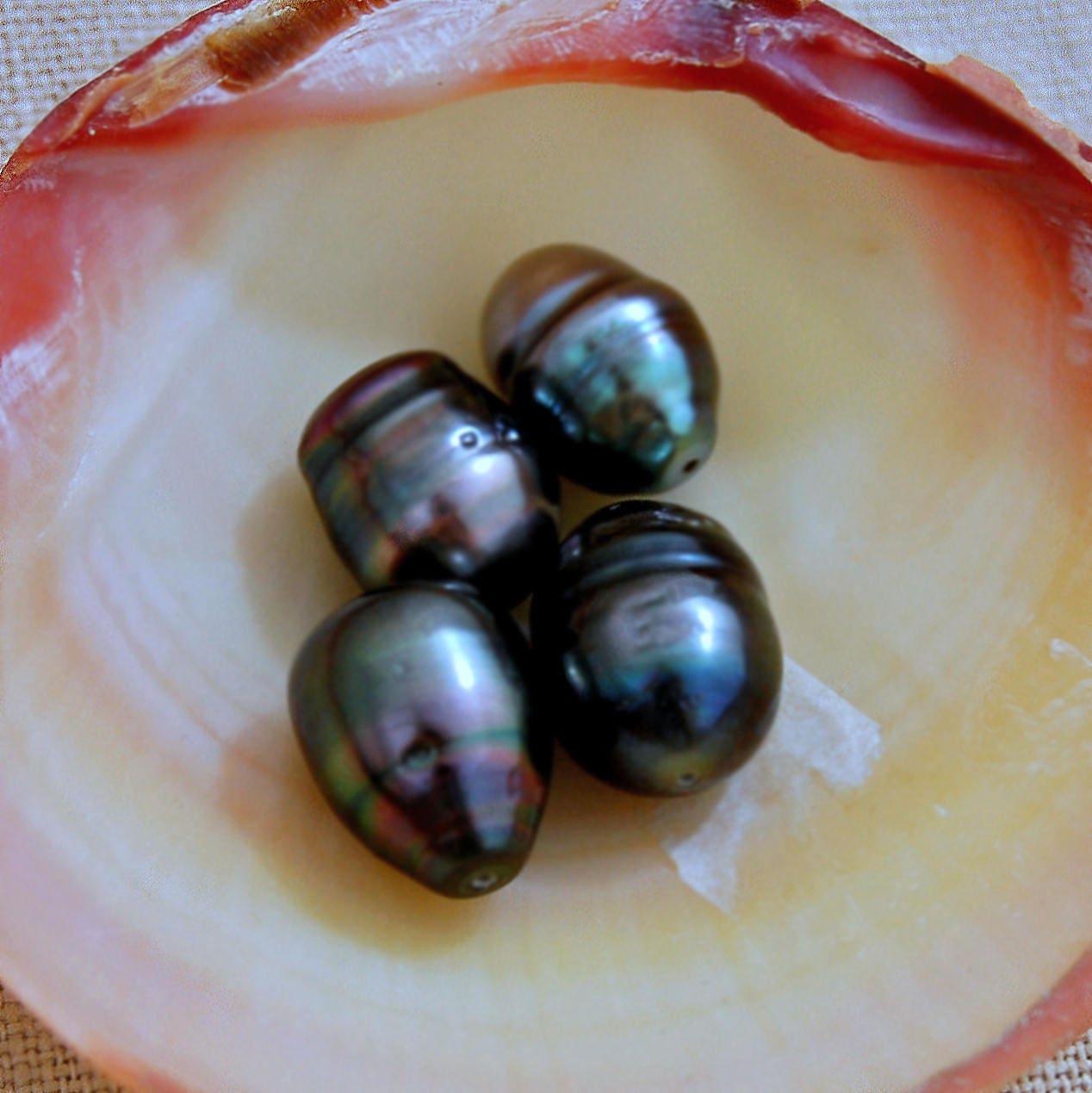 D327 - Loose Tahitian Peacock Pearls