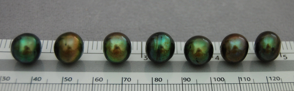 D255 - Loose Freshwater Pearls in Rare Olive Sage Color.