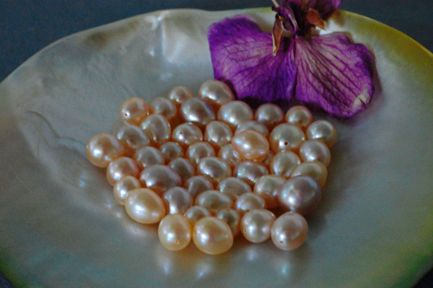 DC-1Acom - Loose Freshwater Pearl Strand