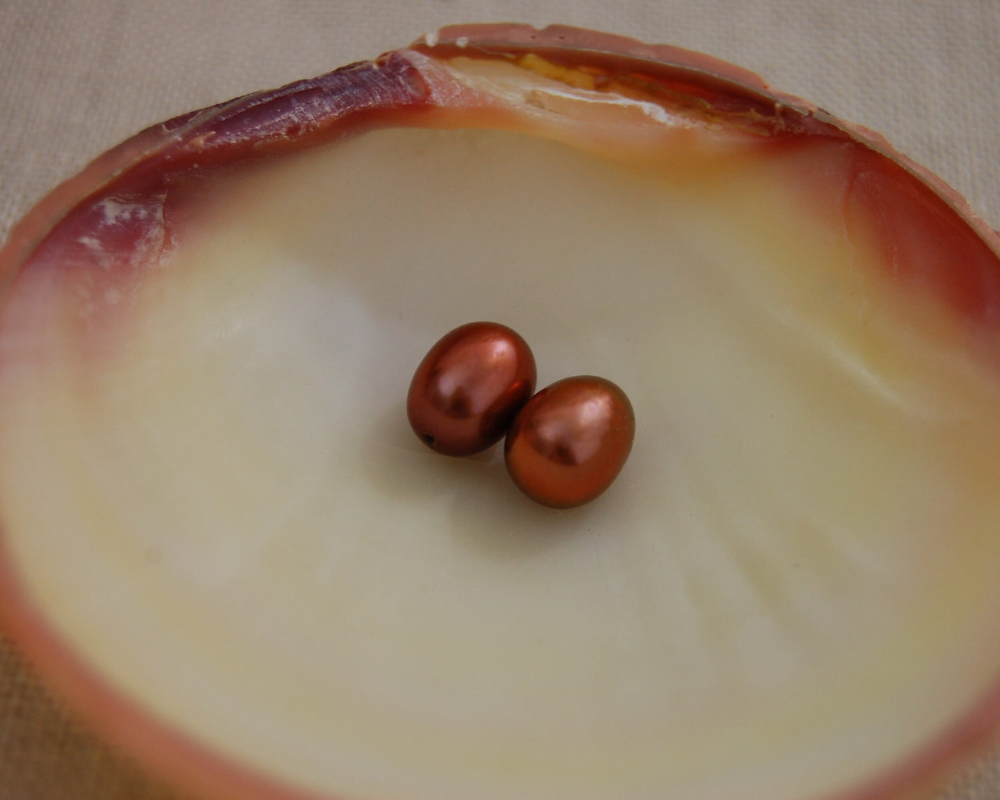 D286 - Loose Well Matched Freshwater Pearl Earring Pair