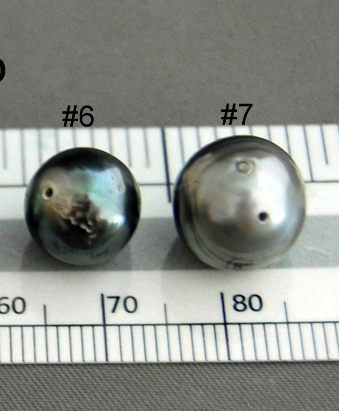 D186 - Loose Tahitian Pearls, Peacock Pearls