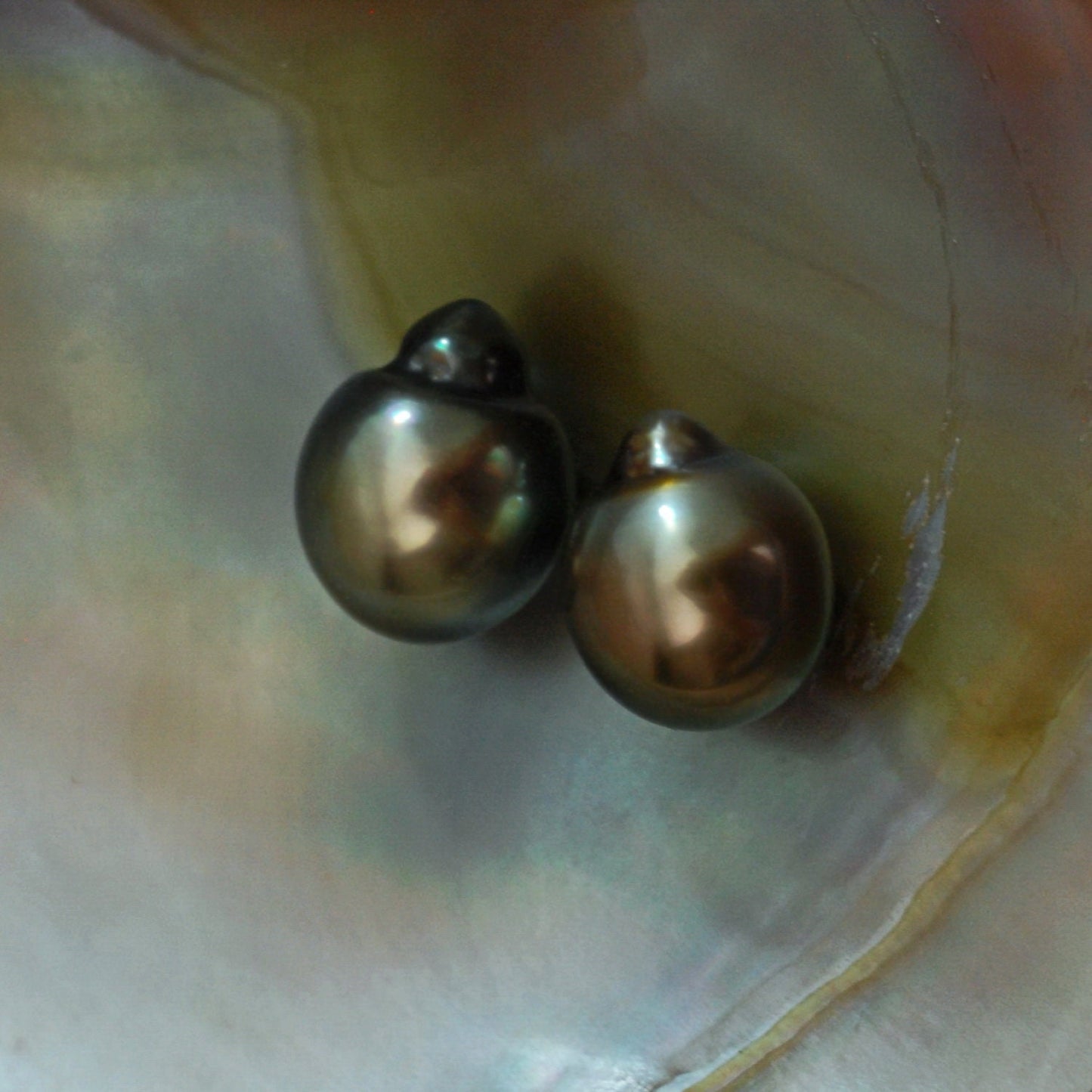 D368 -  Loose Tahitian Pearls
