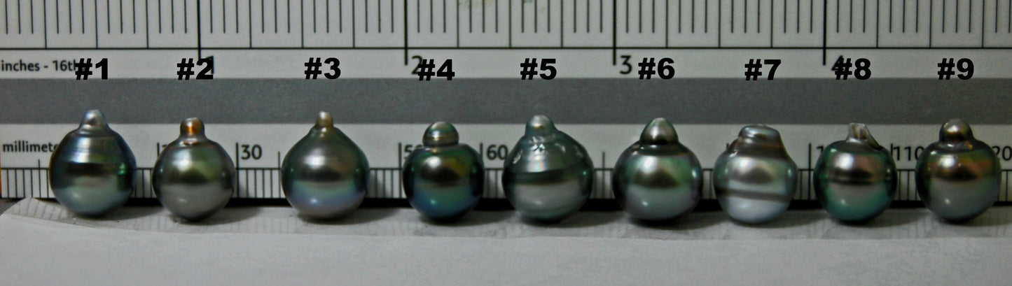 D227 - Loose Tahitian Peacock Pearls.