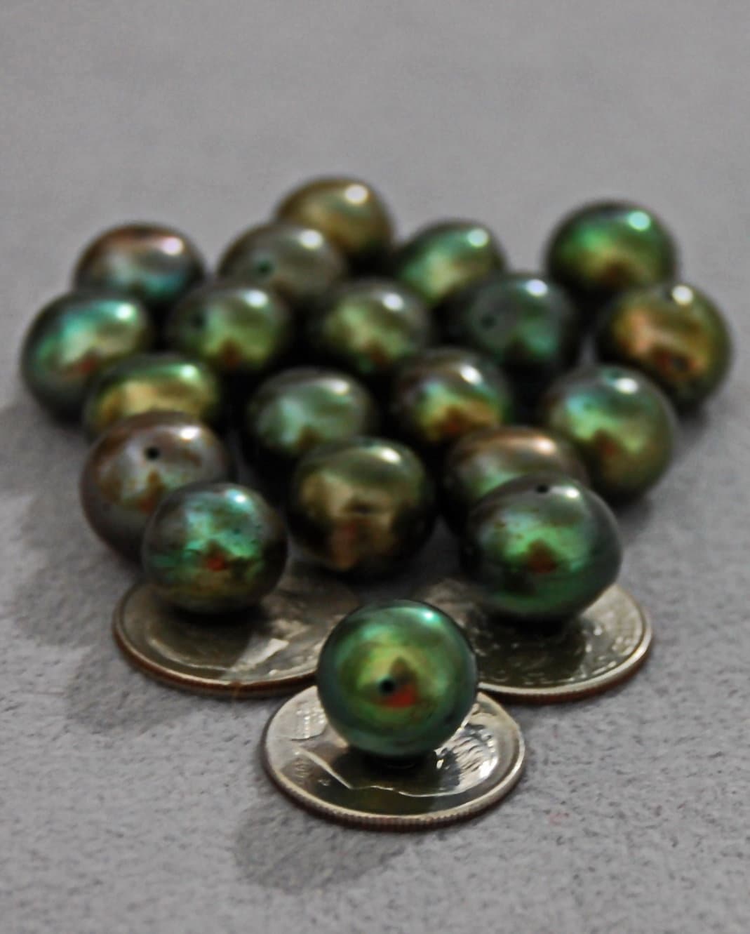 D255 - Loose Freshwater Pearls in Rare Olive Sage Color.