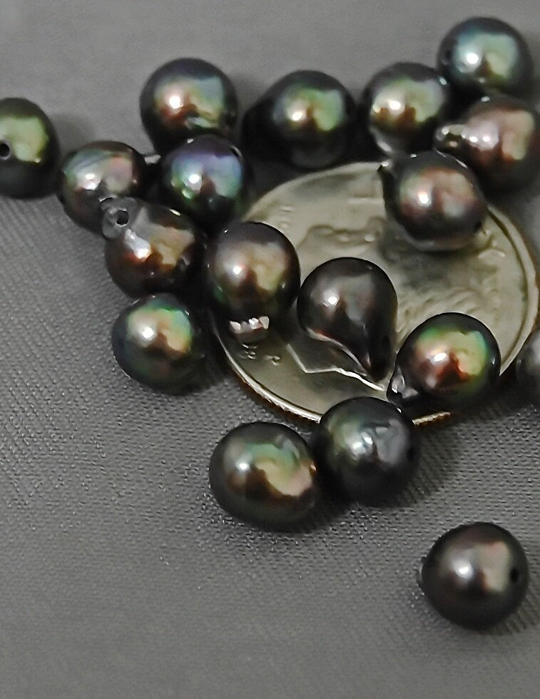D225 - Loose Chocolate Akoya Pearls