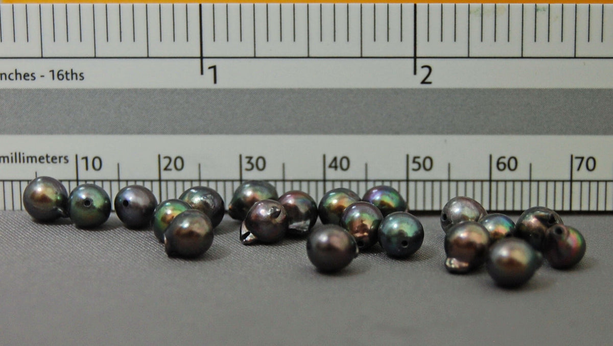 D225 - Loose Chocolate Akoya Pearls