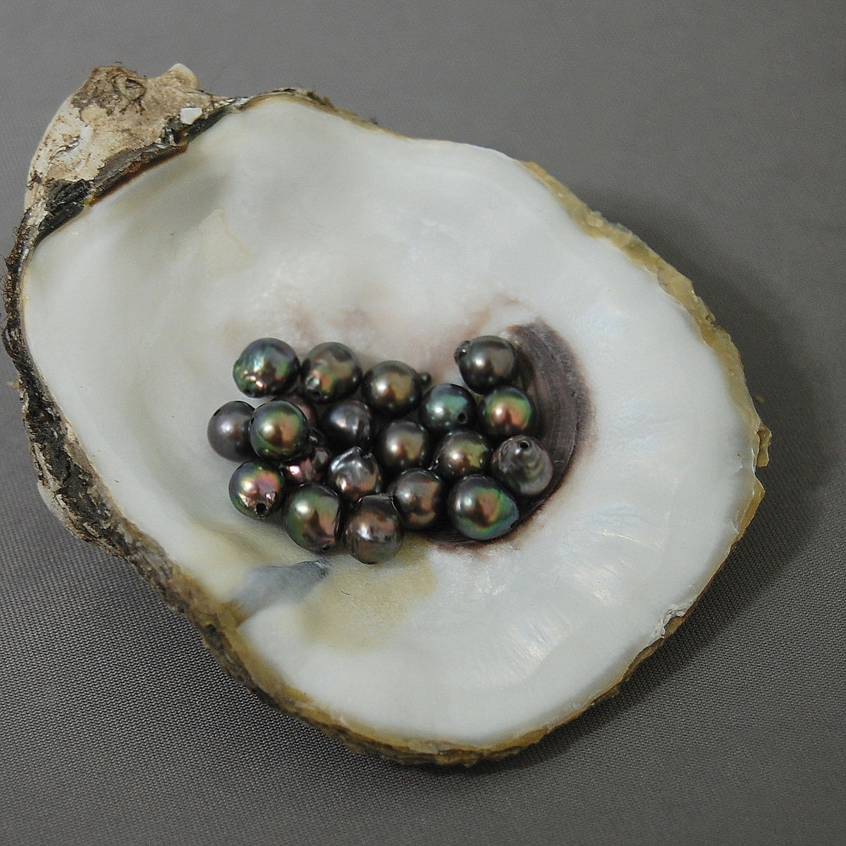 D225 - Loose Chocolate Akoya Pearls