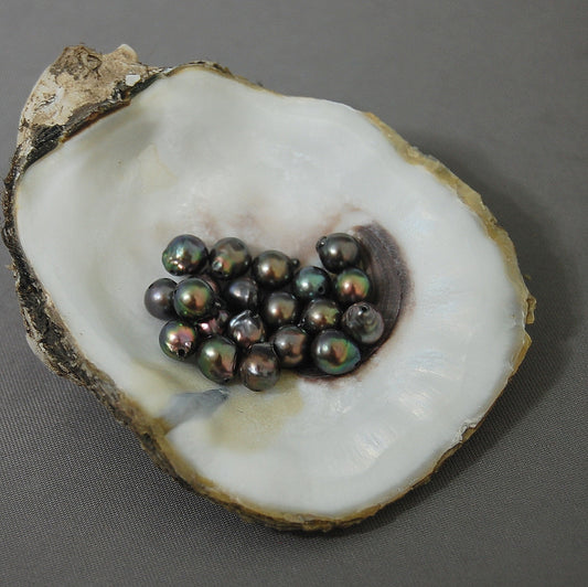 D225 - Loose Chocolate Akoya Pearls