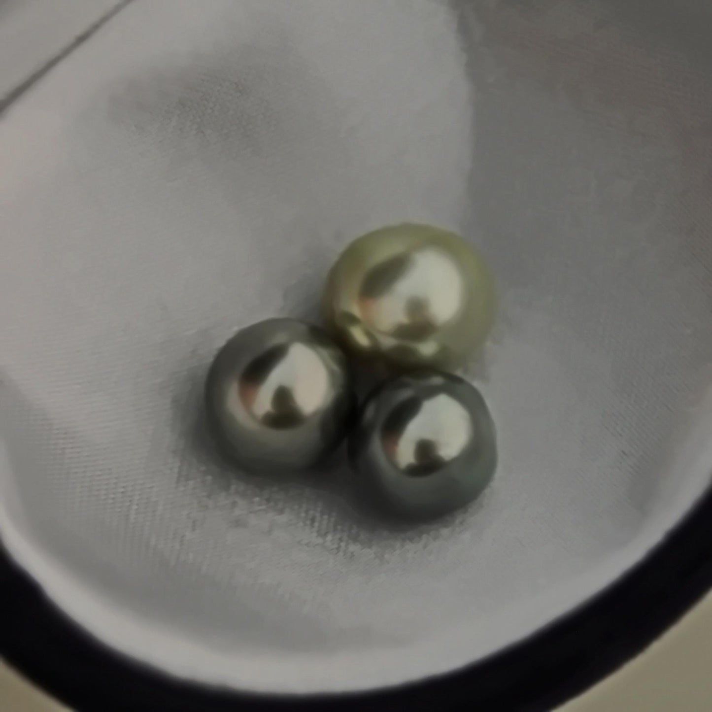 D398  - Loose Tahitian Pearls, Pistachio and Peacock