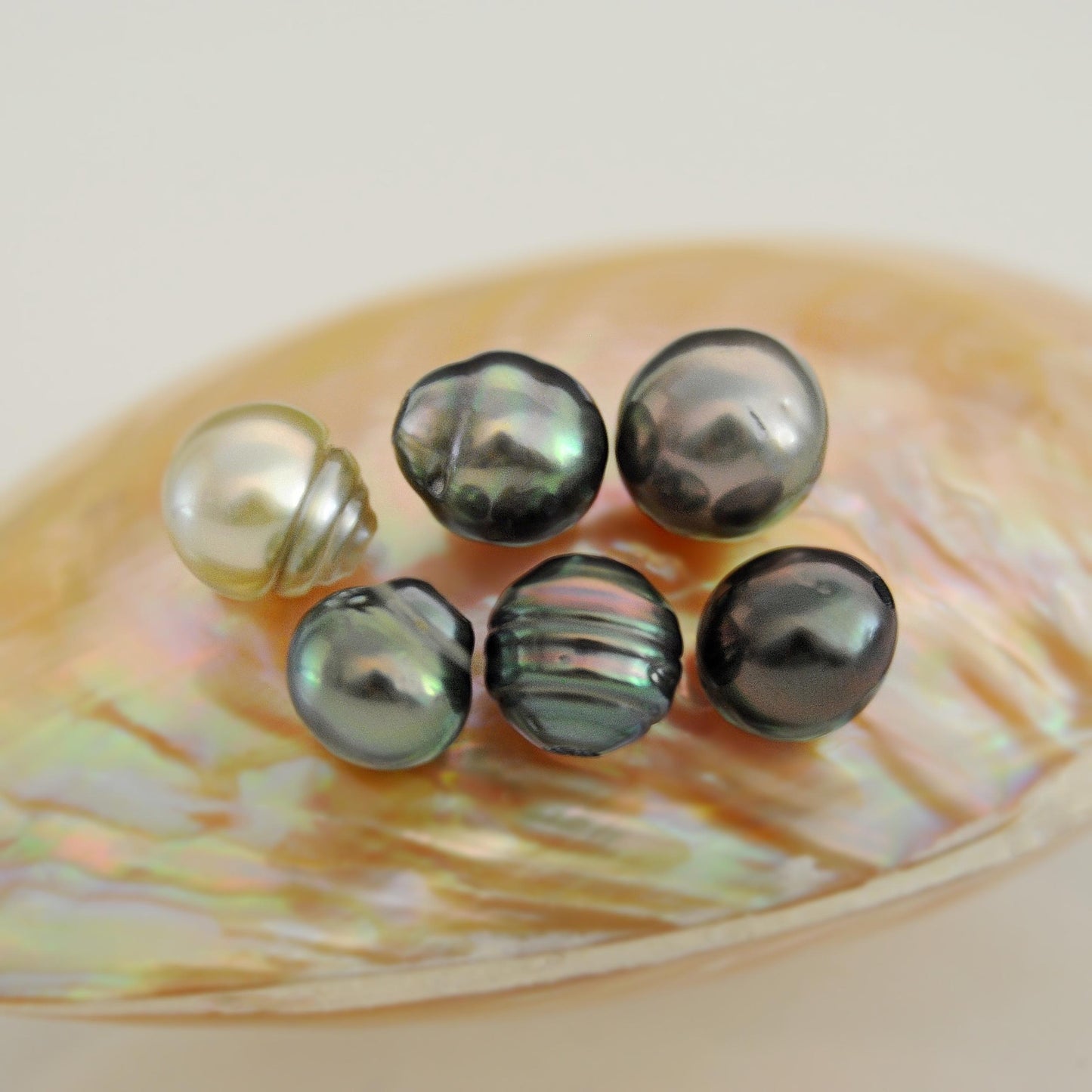 D420 - Loose Tahitian Pearls Drilled Through, High Luster with Vibrant Color.
