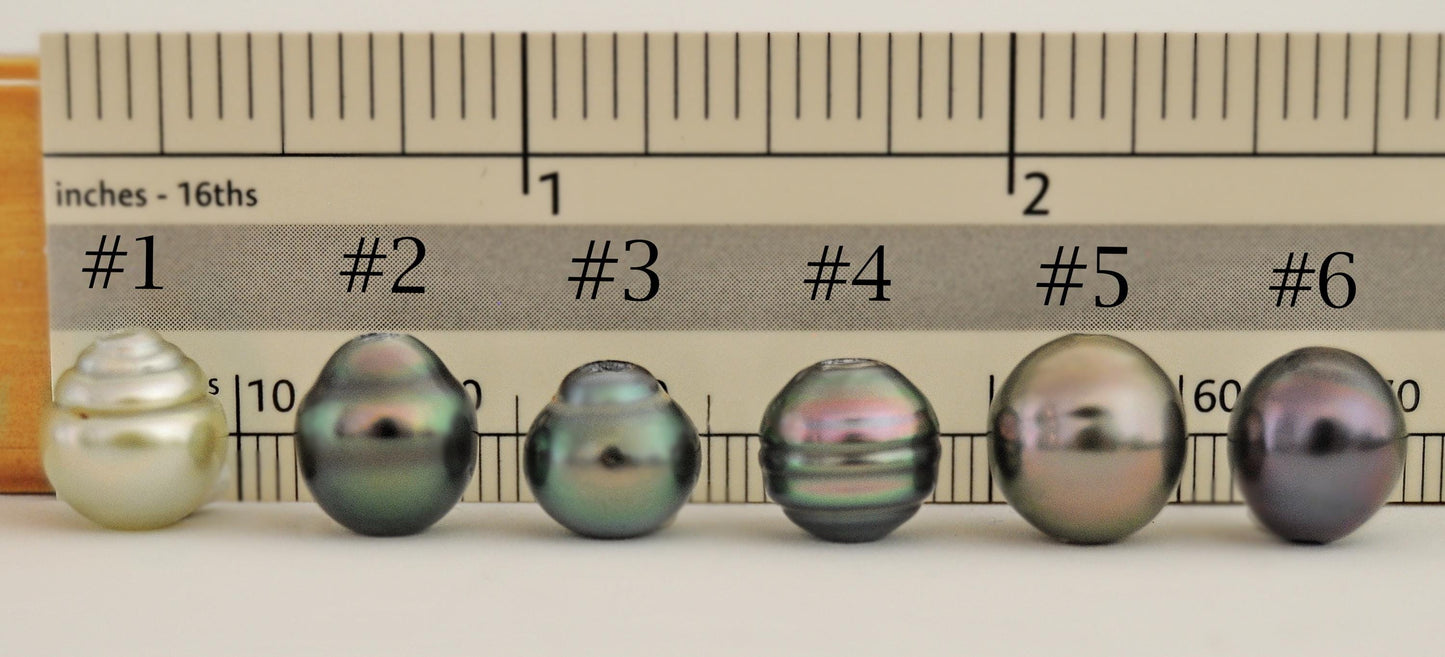 D420 - Loose Tahitian Pearls Drilled Through, High Luster with Vibrant Color.